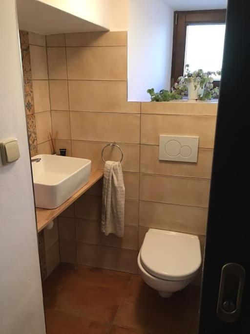 U Zivlu Bed and Breakfast Brlohy Εξωτερικό φωτογραφία