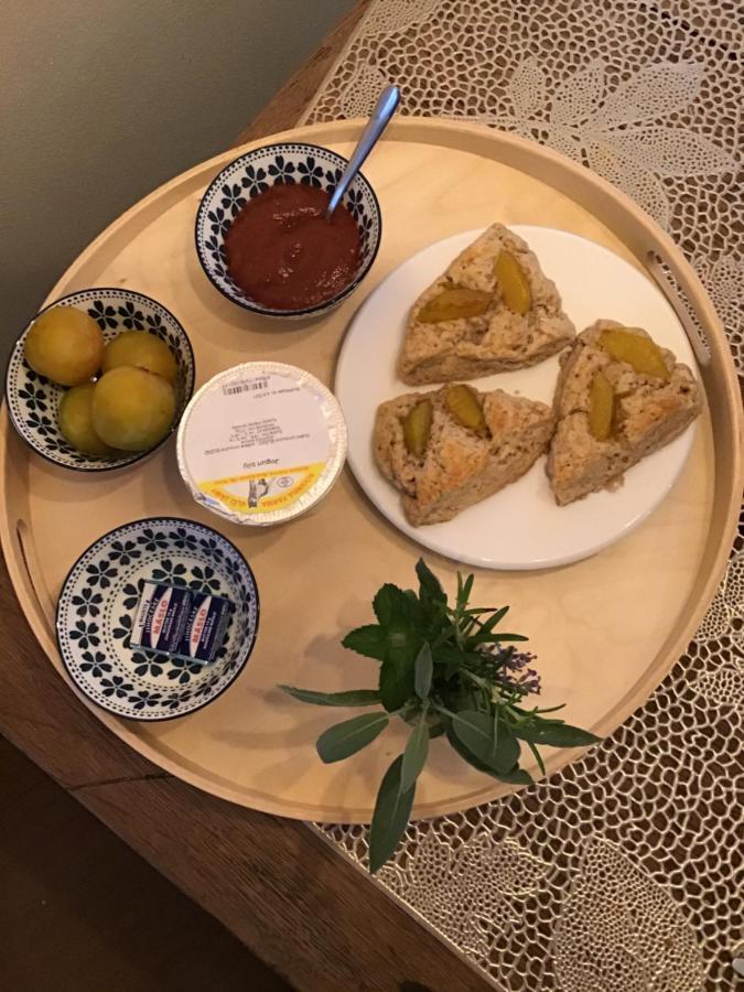 U Zivlu Bed and Breakfast Brlohy Εξωτερικό φωτογραφία